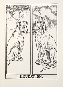 教育，来自Fontaine Fables，酒吧。 1905年