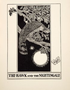 The Hawk and the Nightingale，来自A Andred寓言的Aesop，pub.1903 作者 珀西·比林斯赫斯特（Percy J.