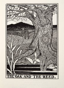 The Oak and the Reed，来自Fontaine Fables，酒吧。 1905年