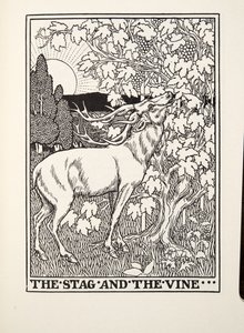 The Stag and the Vine，来自Fontaine Fables，酒吧。 1905年