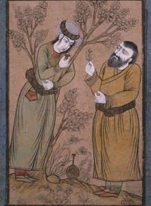 医生给一个年轻人的草药，17世纪末 -  18世纪初 作者 波斯学校