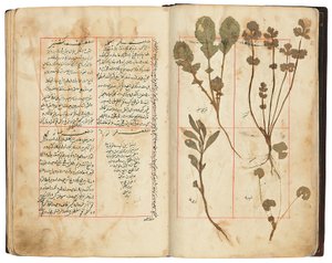 Hassan Bin Baqir Bin Jarrah：伊朗Qajar的Gulzar Al-Rayahin 作者 波斯学校