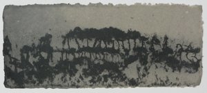 十一月的森林 作者 彼得·A·福特