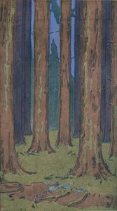 森林，1901年