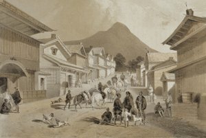 在Hakodadi的街道，从“美国中队远征到中国海和日本的叙事”，酒吧。作者：Sarony und Co.，1856（有色光刻）