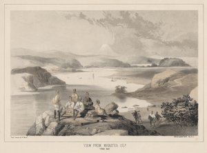 查看来自Webster Island，Yedo Bay，Litho by Sarony und Co.，1855（chromolitho）