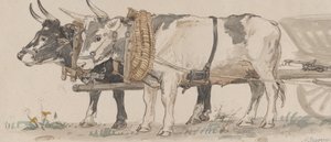 两头牛拉着一辆车，1874年。 作者 彼得·克里斯蒂安·塔姆森·斯科夫加德