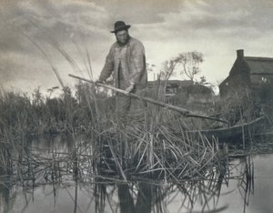 1886年，在诺福克湖区的沼泽，生活和景观中回家 作者 彼得·爱默生和托马斯·古道尔