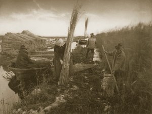 在诺福克湖区的芦苇收获，生活和景观期间，c.1886