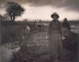 1886年，在诺福克湖区对波什干草，生活和景观进行了调整