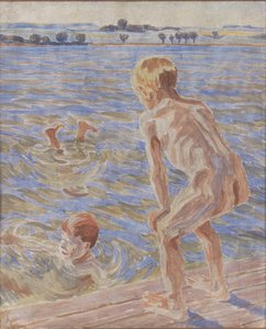 沐浴男孩法堡峡湾