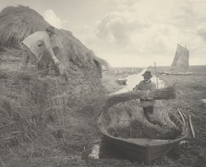 Ricking the Reed, 1886.创作人。彼得-亨利-爱默生博士，托马斯-弗雷德里克-古道尔。 作者 彼得·亨利·爱默生、托马斯·弗雷德里克·古道尔