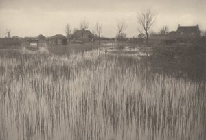 鲁什海岸，1886 年（照片） 作者 彼得·亨利·爱默生