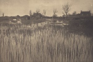 葱郁的海岸 作者 彼得·亨利·爱默生