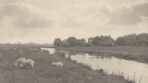 布雷河上，1886 年（照片） 作者 彼得·亨利·爱默生