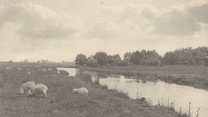 布雷河上，1886年。 作者 彼得·亨利·爱默生