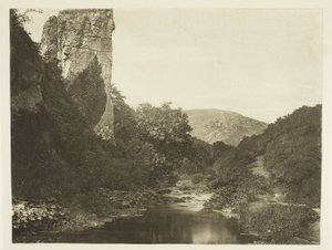 "皮克林托"，鸽子谷