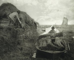 Ricking the Reed, c.1885 (platinum print)