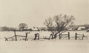雪域沼泽地》，1890-1891年，1893年印刷。