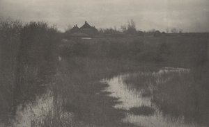 沼泽地的边缘地带 作者 彼得亨利爱默生和 TF 古道尔