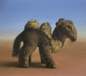 骆驼，2017