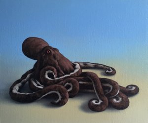 章鱼，2016年