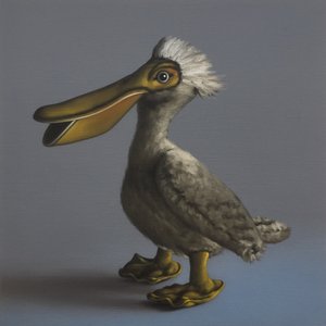 The Pelican, 2017