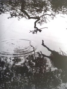 复古B＆W照片No.5,1986，（摄影） 作者 彼得麦克卢尔