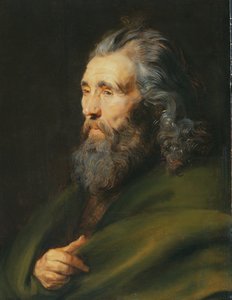 1617年，一个有胡子的人的头部研究 作者 彼得·保罗·鲁本斯