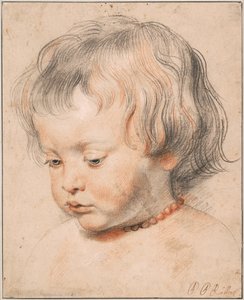 尼古拉斯·鲁本斯（Nicolaas Rubens）穿着珊瑚项链，约1619年 作者 彼得·保罗·鲁本斯
