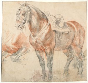 鞍马c。 1616-1618 作者 彼得·保罗·鲁本斯