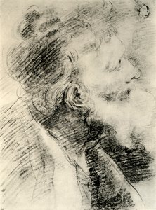 1913年为老人的头而研究。 作者 彼得·保罗·鲁本斯