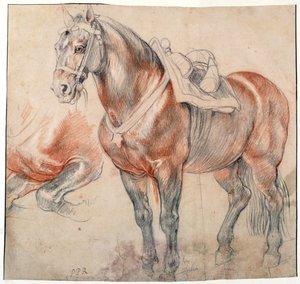"" 一匹鞍马 "" 彼得·保罗·鲁本斯 (1577-1640) 的水彩画，大约 1616-1618 年维也纳阿尔贝蒂娜图书馆 作者 彼得·保罗·鲁本斯