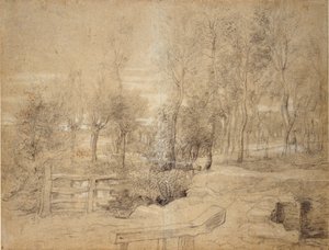林地景象，17世纪初 作者 彼得·保罗·鲁本斯