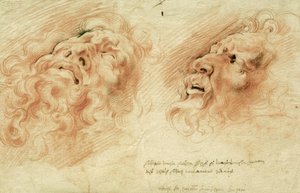 继Laocoon负责人之后的两项研究 作者 彼得·保罗·鲁本斯