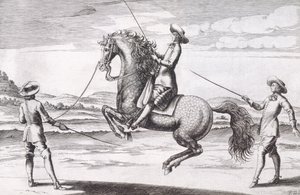马en Croupade的例证从新的论文为冬天写的繁殖的马，Stuterey和Reit-Schul，客栈。 1672 作者 彼得·保罗·特洛斯切尔