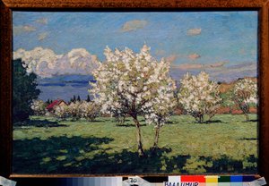 樱花。 彼得·伊万诺维奇·彼得罗维奇夫 (Pyotr Petrovichev) (1874-1947) 绘画，布面油画
