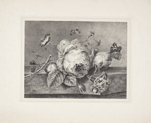 花卉静物 作者 在 Jan van Huysum 之后