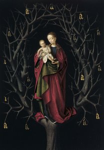 枯树圣母，约1465年 作者 彼得基督