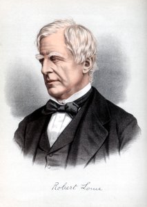 罗伯特·劳（Robert Lowe），英国政治家舍布鲁克第一子爵，建于1890年。 作者 皮特和加尔平·卡塞尔