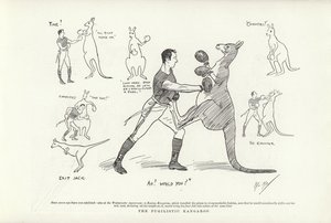 Pugilistic袋鼠 作者 菲尔·梅