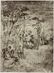 Titiaan, 图片设计