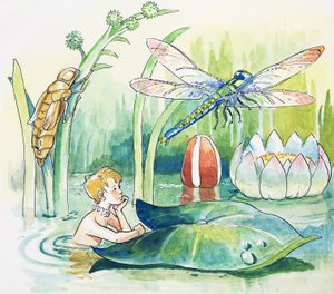 蜻蜓，查尔斯-金斯利《水宝宝》中的插图