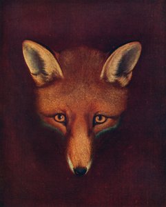 雷纳德·福克斯（Renard the Fox），c1800年，1922年