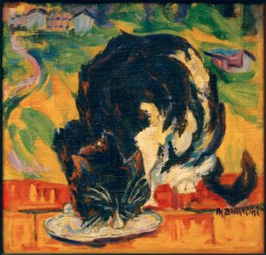 吃猫