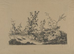 蓟和青蛙的景观研究 作者 让-巴蒂斯特·德罗伊