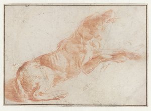 卧式狗 作者 飞利浦 Wouwerman（可能）