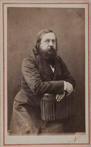 诗人泰奥菲勒-戈蒂埃1811-1872年的肖像，1872年。