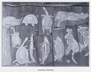 Aboriginal Drawings (b/w photo) 作者 澳大利亚摄影师