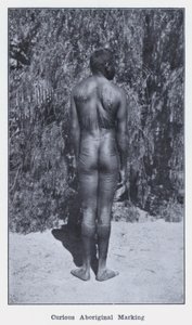 Curious Aboriginal Marking (b/w photo) 作者 澳大利亚摄影师